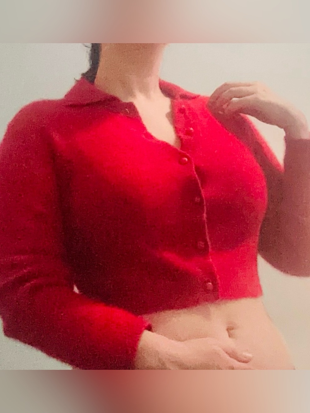 Cherry Red Cashmere Blend Cropped Sweater